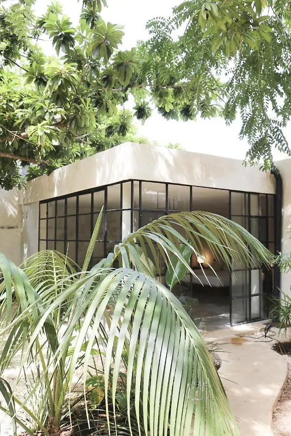 Casa Puuc Bed and Breakfast Mérida 0*,